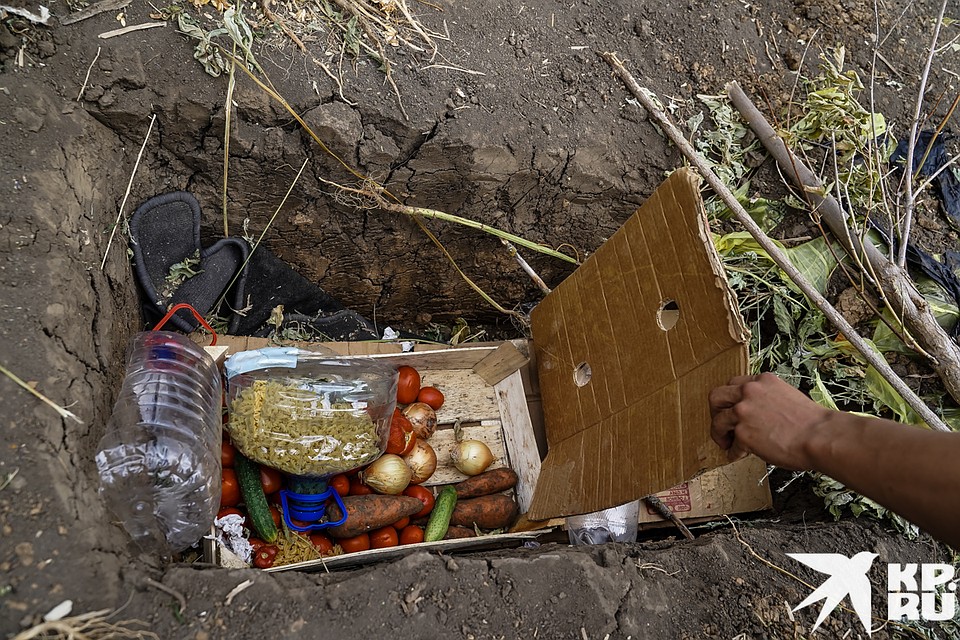 Продукты хранятся в таких ямах Фото: Светлана МАКОВЕЕВА