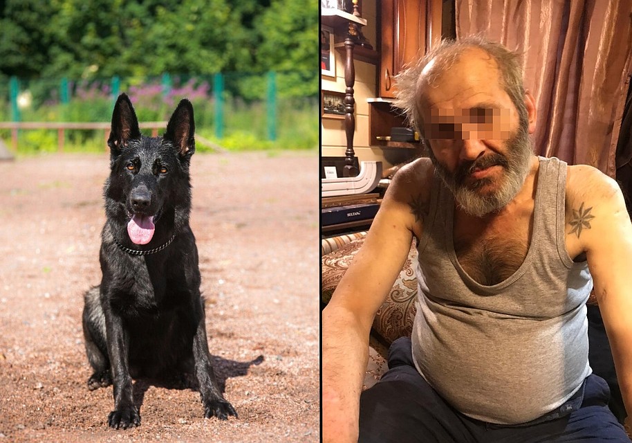 Барселона переиграла бывалого преступника. Фото: пресс-служба ГУ МВД России по Санкт-Петербургу и Ленобласти
