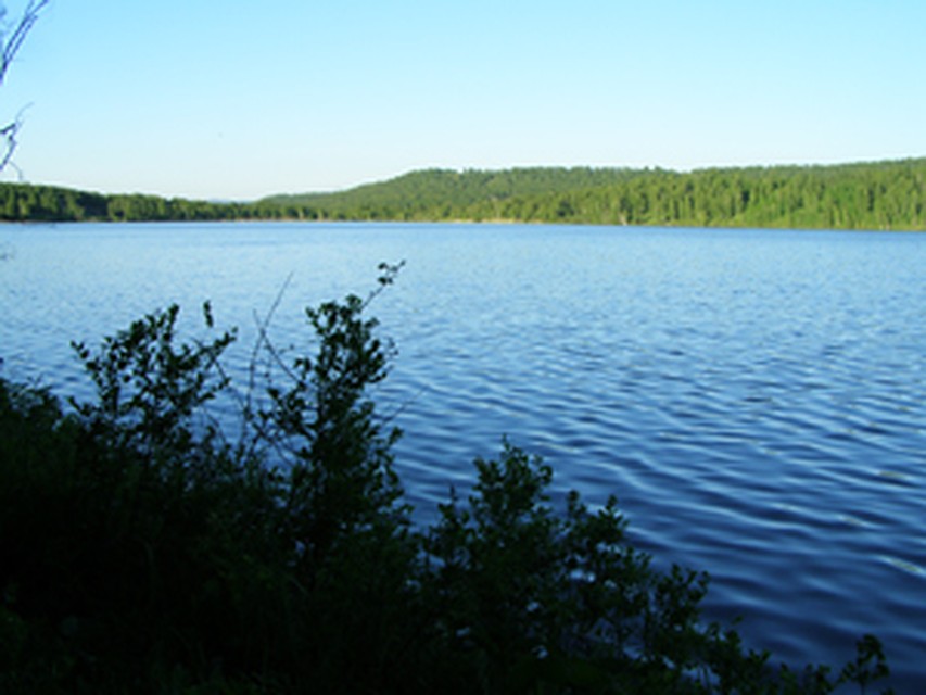 Цинголь