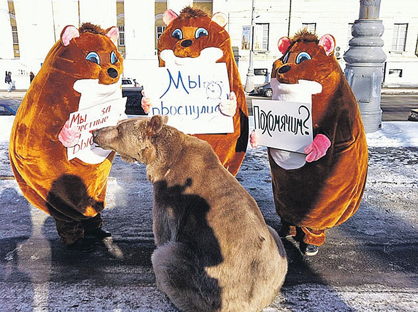 Сетевые хомячки - символы протестных акций в Москве окружили бедного мишку - талисман «Единой России». Они еще не поняли, что под лозунгом «За честные выборы» их используют для совсем других целей.