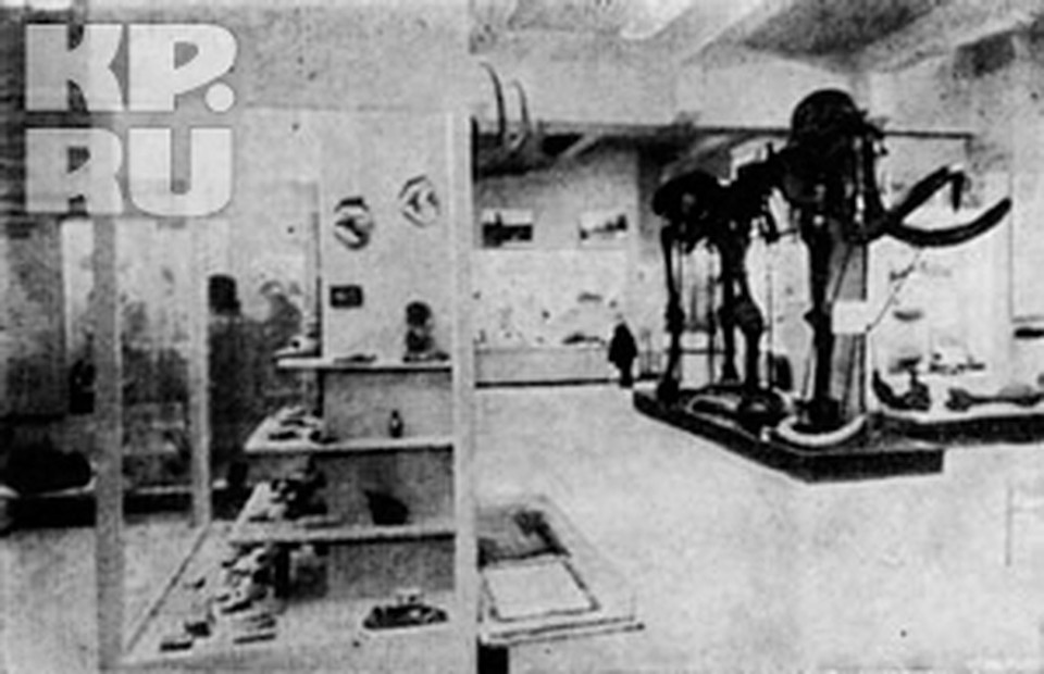 Почти 40 лет в здании храма стоял скелет мамонта и другие экспонаты отдела природы областного краеведческого музея.
