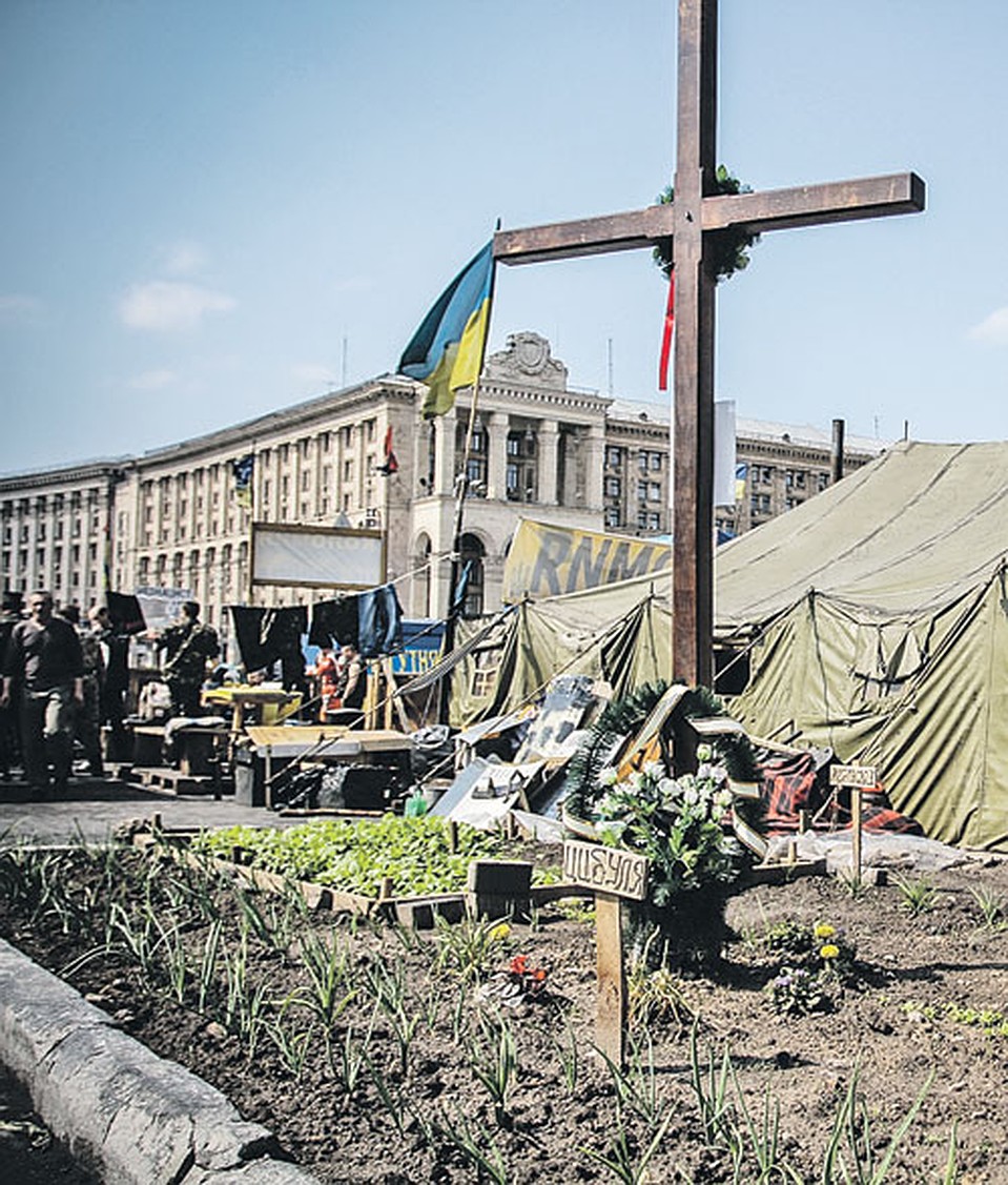 На киевском майдане взошли лук и редиска. Психология деревни все-таки победила...
