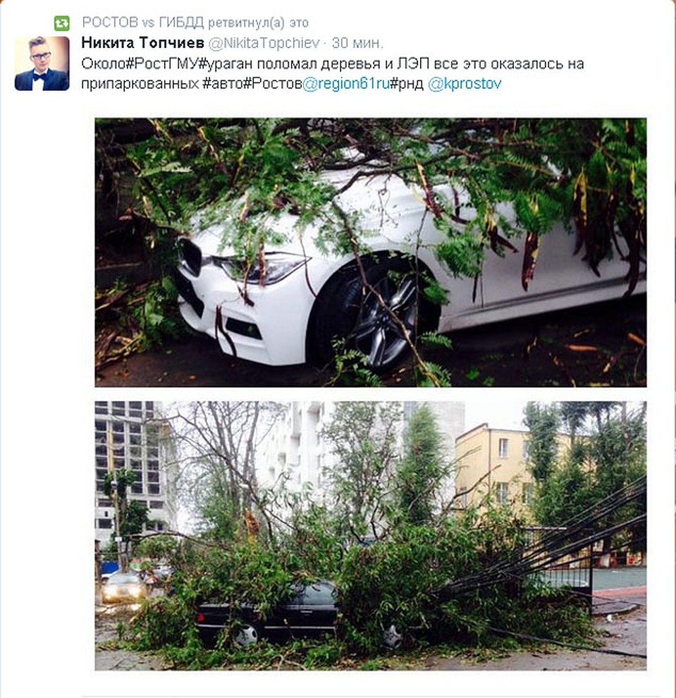 Не смогли устоять деревья и около РостГМУ Фото: СОЦСЕТИ