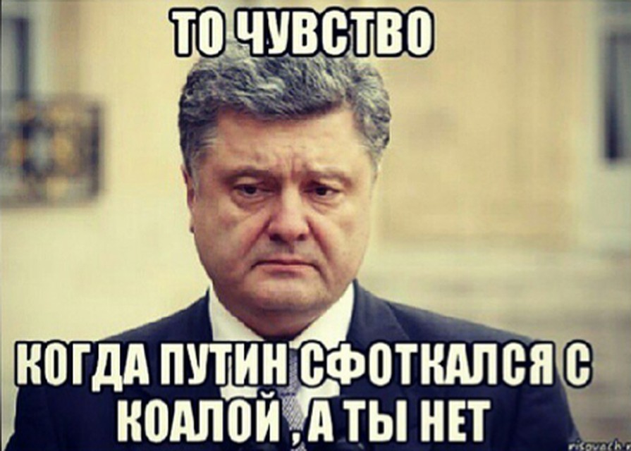 Юзеры шутят Фото: СОЦСЕТИ