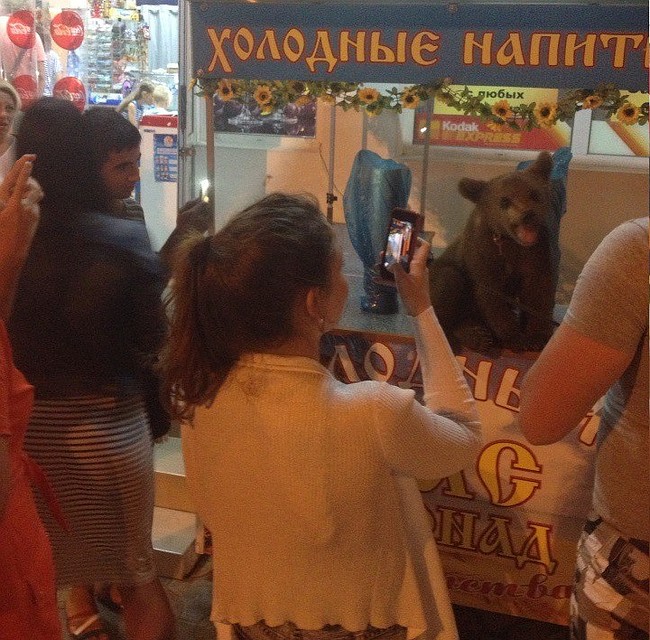 Даже после представления Тимка продолжает развлекать зрителей. Фото: соцсети
