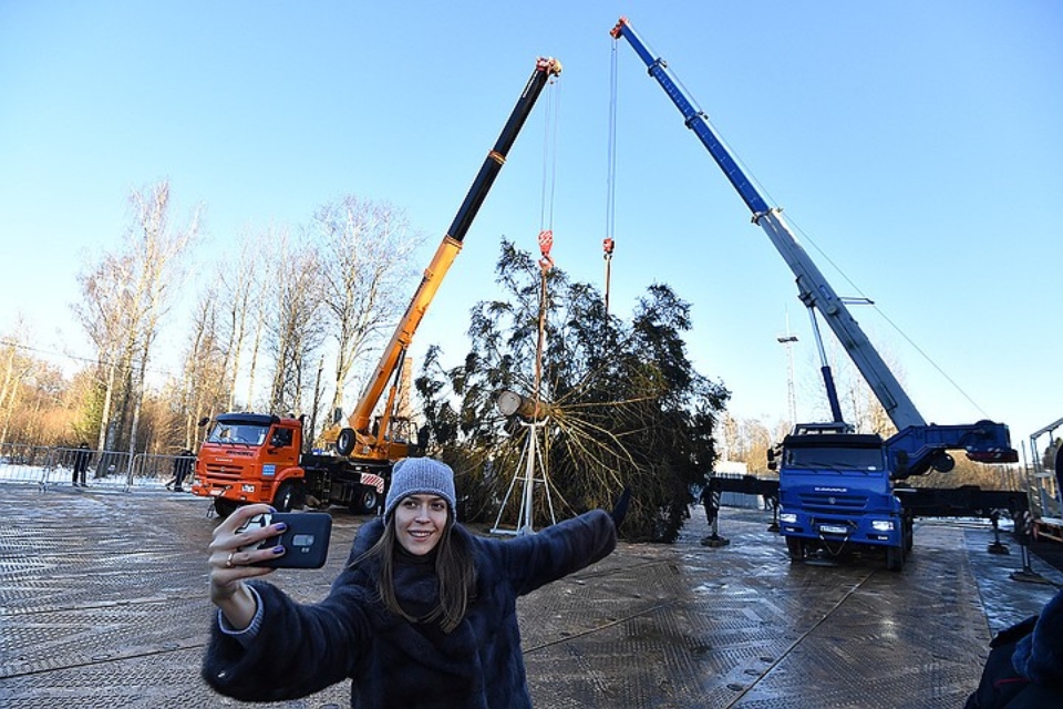 96-летняя красавица: Кремлевскую елку проводили из леса в Москву