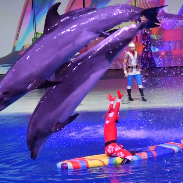 Куда сходить в Москве на Новый год 2020-2021: лучшие события