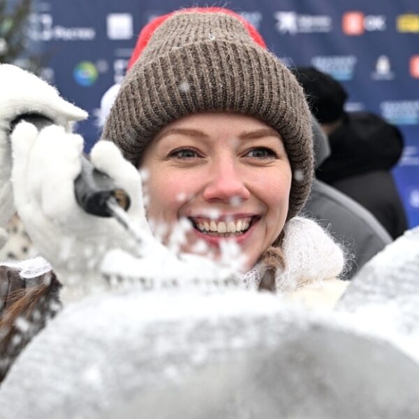 Фестиваль «Ледовая Москва»