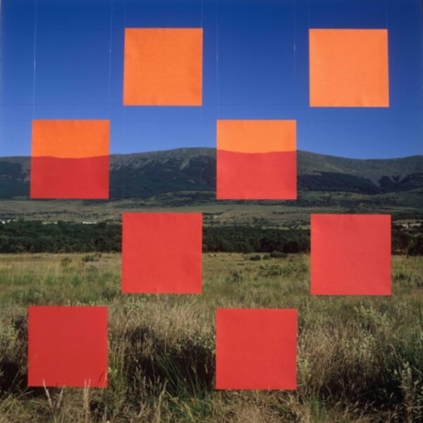 Выставка «Вертикальное положение»