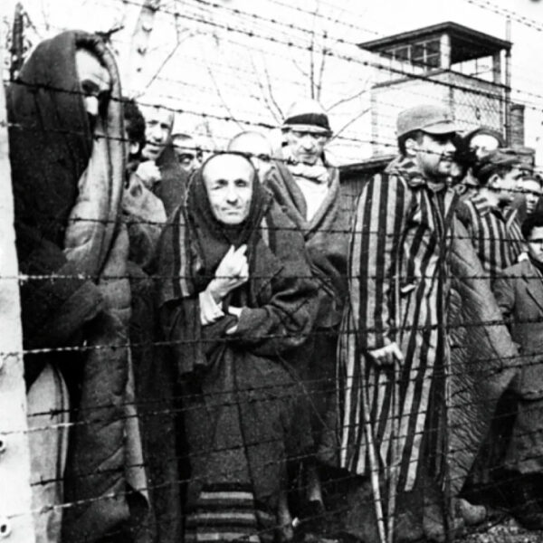 Выставка к Международному дню памяти жертв Холокоста в Музее Победы