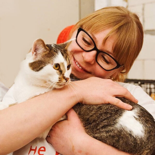 Фестиваль «Котики, которые любят»