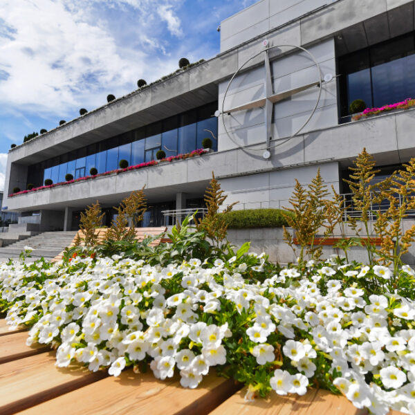 День города на Южном речном вокзале