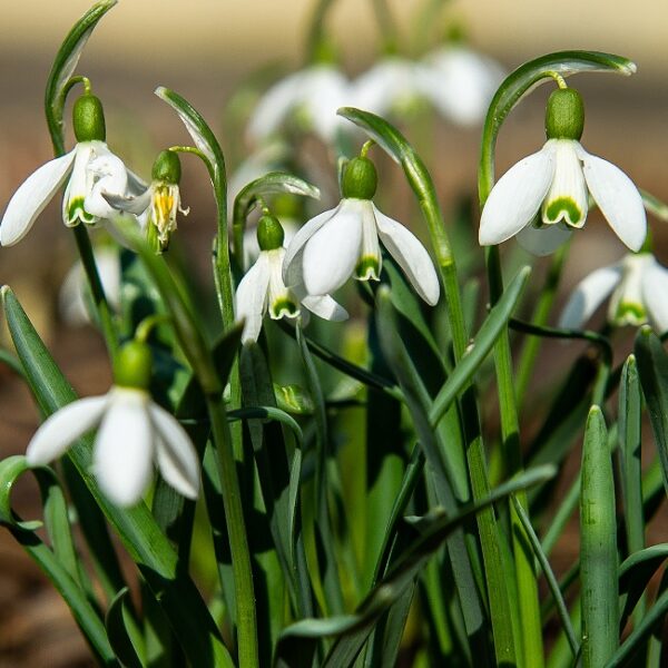 Спектакль «Двенадцать месяцев» в Театре современной драматургии
