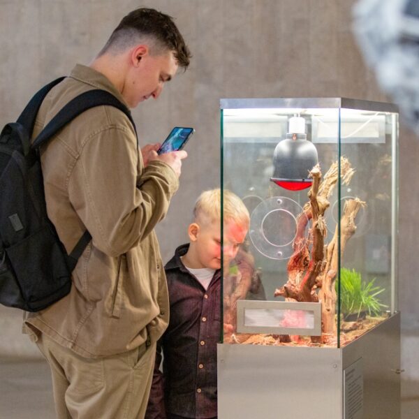 Выставка «Цветы и травы» в Биологическом музее