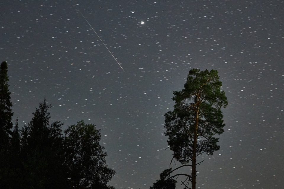 Два звездопада пройдут в Москве в декабре 2025 года 