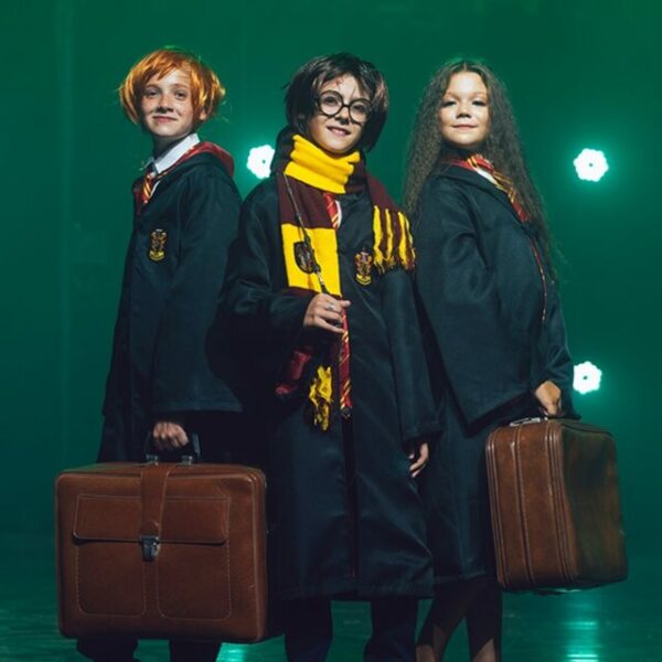 Цирковое шоу «Гарри и школа волшебства» 