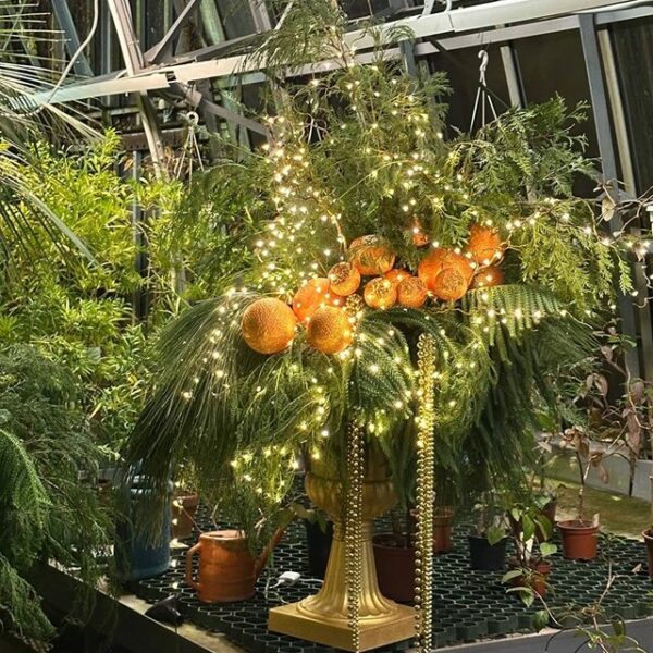 Рождественская ярмарка в Ботаническом саду