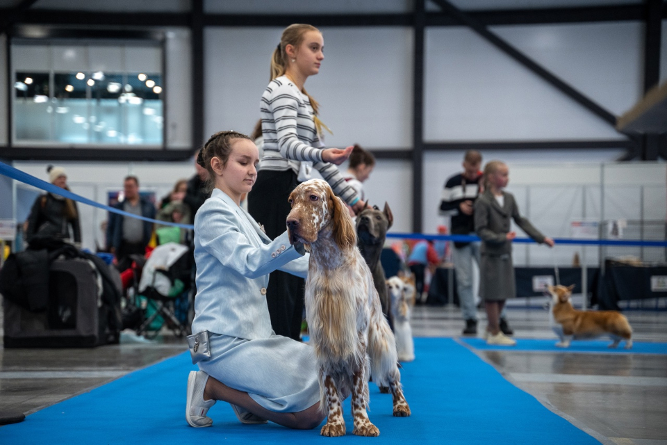 20 лучших идей, куда сходить на выходных в Санкт-Петербурге 23, 24 и 25 февраля 2024: вручение премии «Золотой Граммофон», выставка собак и гаражная распродажа