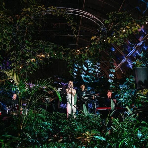 Концерт «Музыка в Оранжерее. Классика перед Рождеством»