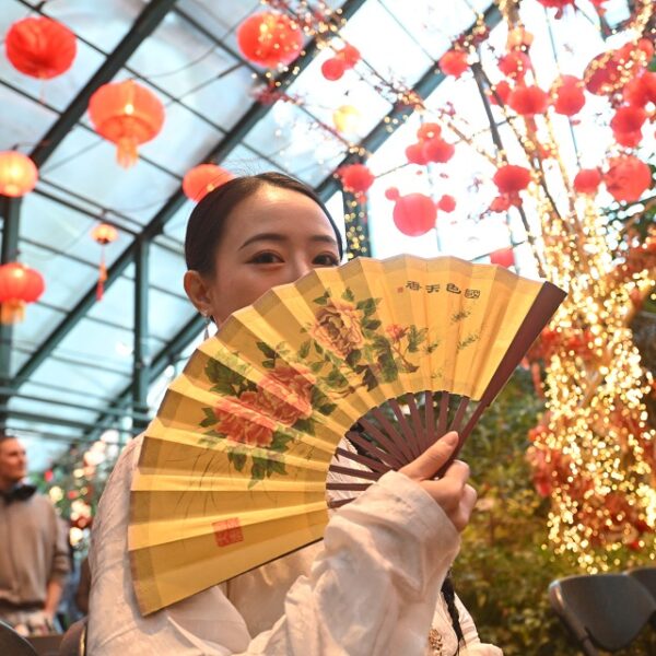 Школьный фестиваль в честь Китайского Нового года