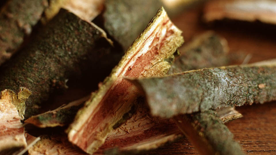 Кора крушины