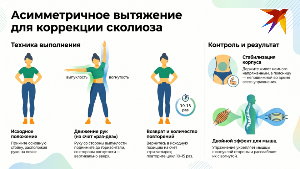 10 лучших упражнений при сколиозе у взрослых