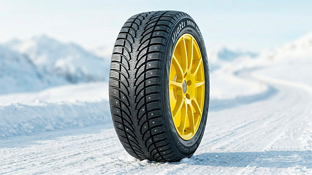 Viatti Brina Nordico V-522. Фото: Татьяна Фадеева / Нейросеть