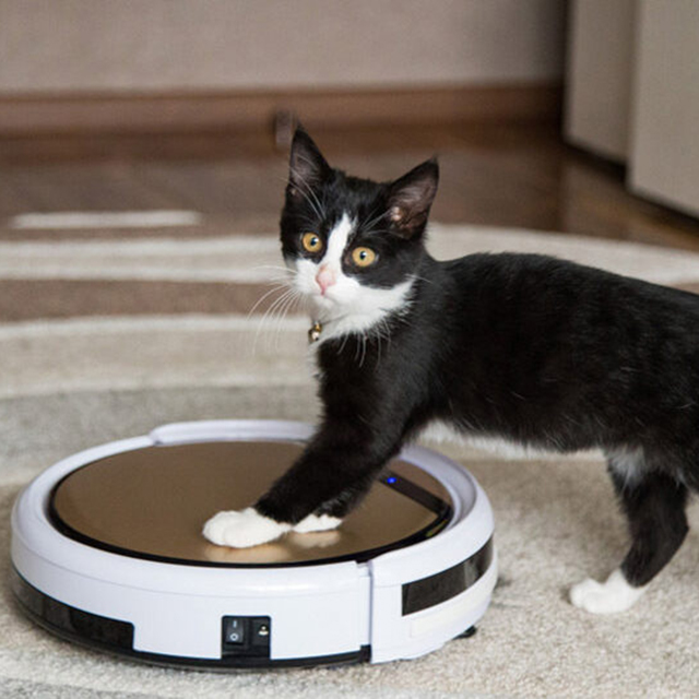 Лучшие роботы-пылесосы