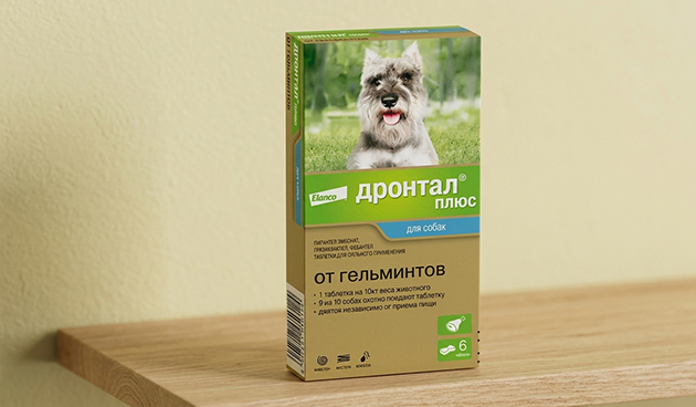 «Дронтал плюс»