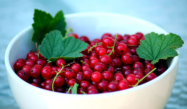 Красная смородина