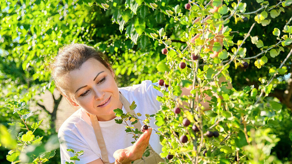 Поздравления с Днем дачника 2026