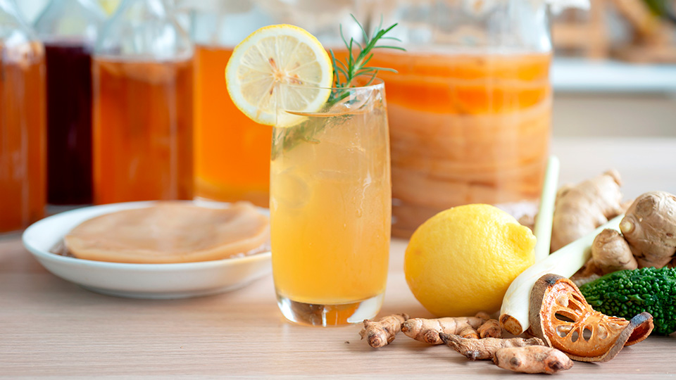 Чайный гриб: польза и вред для организма человека