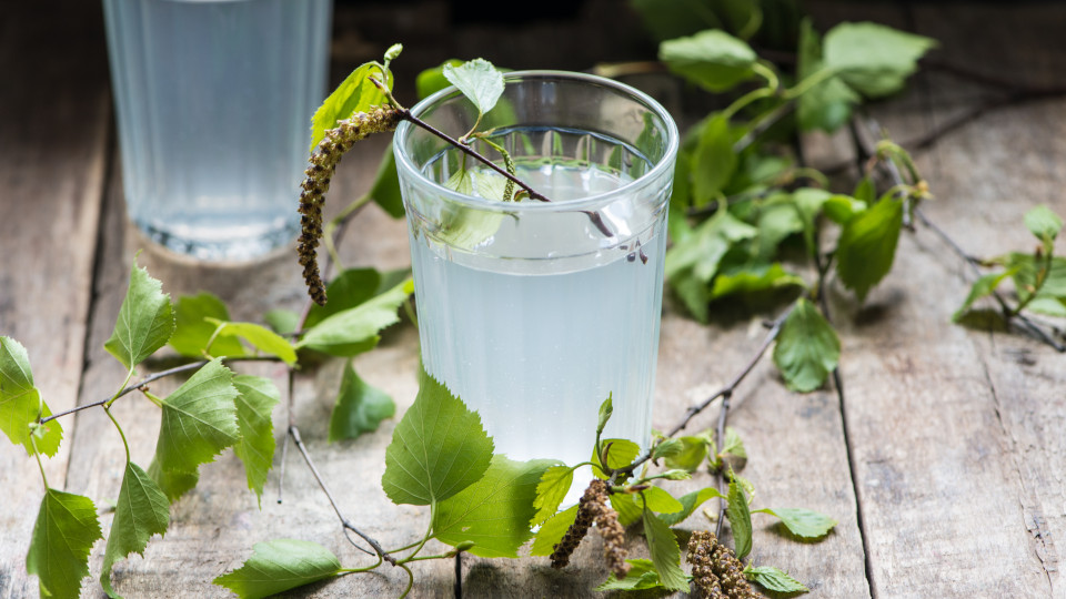 Березовый сок при сахарном диабете 1 и 2 типа