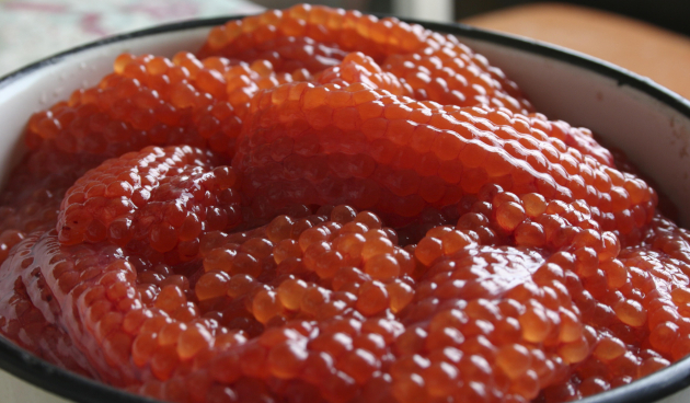 Ястычная икра семги