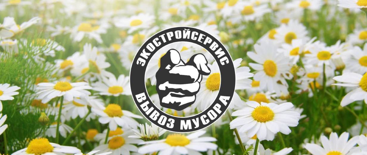 «Экостройсервис»