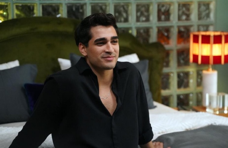 Турецкий сериал «Зимородок» обогнал по популярности «Мандолорца» и «Утопию»