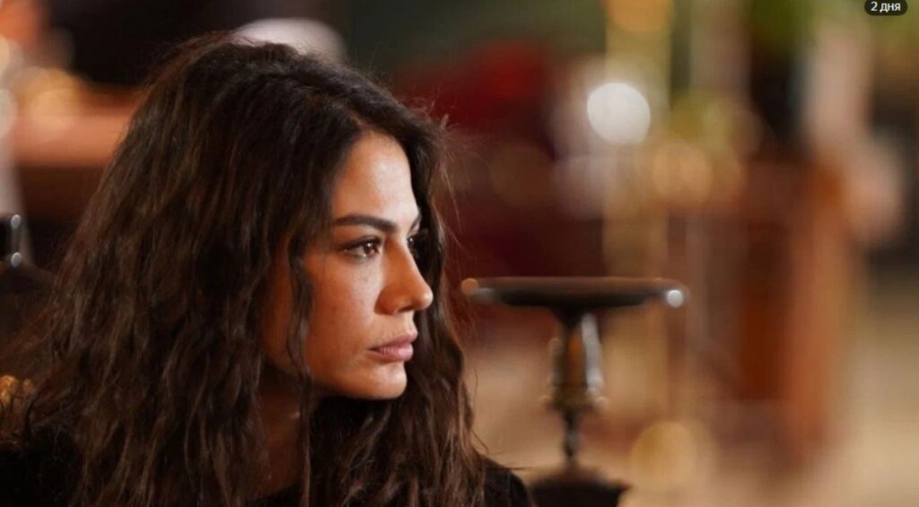 Демет Оздемир официально подтвердила развод с Огузханом Кочем