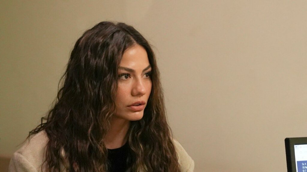 Психиатр, хальвет, расставание: Описание 22 серии турецкого сериала «Мечта Эшрефа»