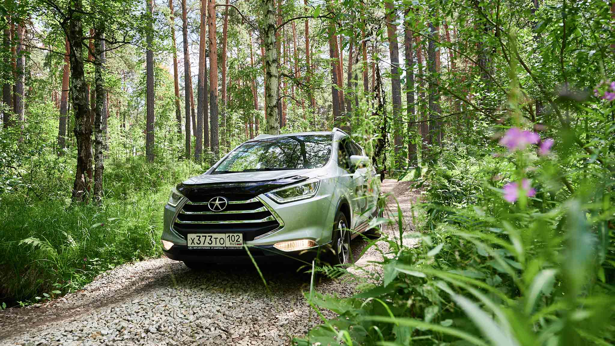 машина в лесу