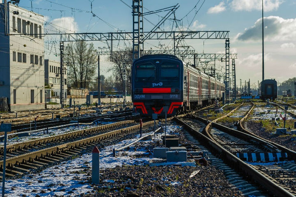 Фото: Олег Золото.