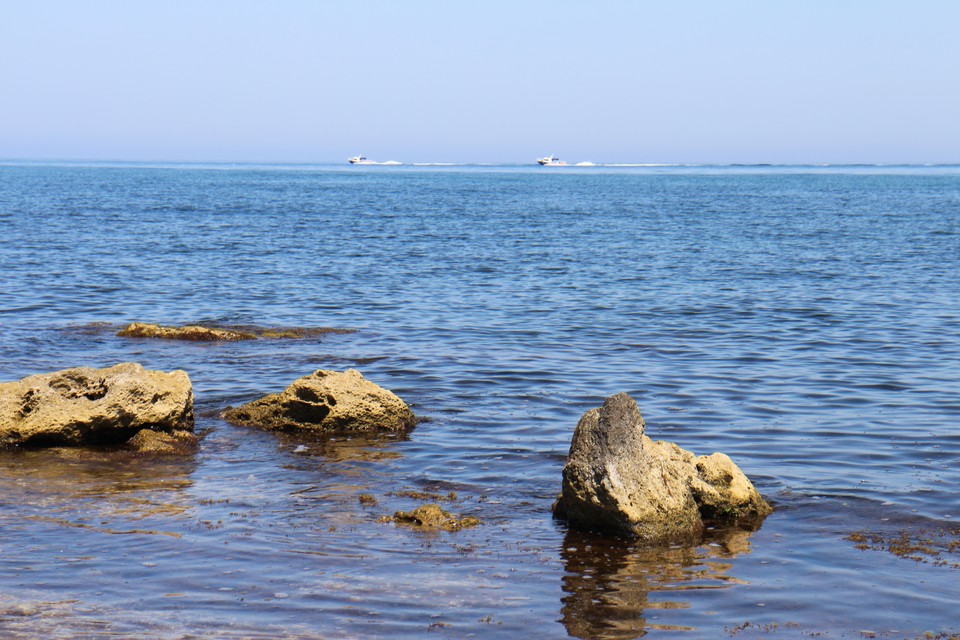 Черное море нуждается в защите.