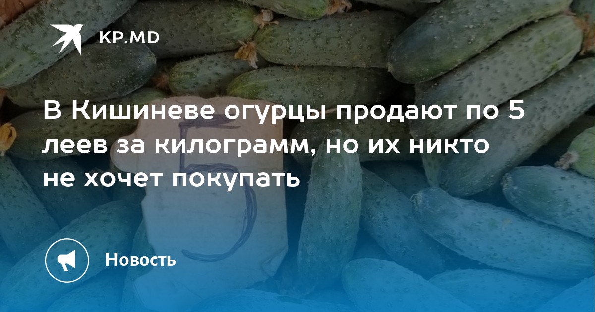 В Кишиневе огурцы продают по 5 леев за килограмм, но их никто не хочет покупать - Vimarsana News