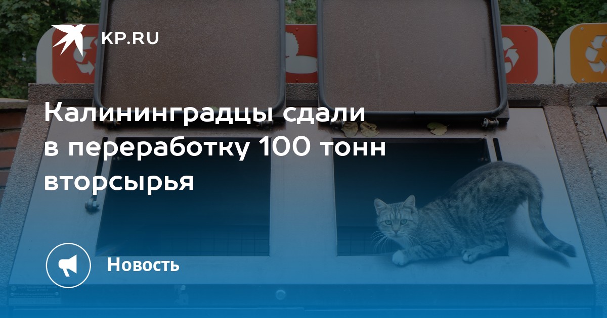 Калининградцы сдали в переработку 100 тонн вторсырья - Vimarsana News