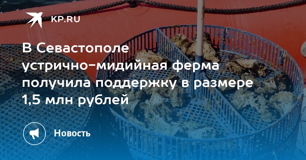 Интернет Магазин 1 В Крыму И Севастополе