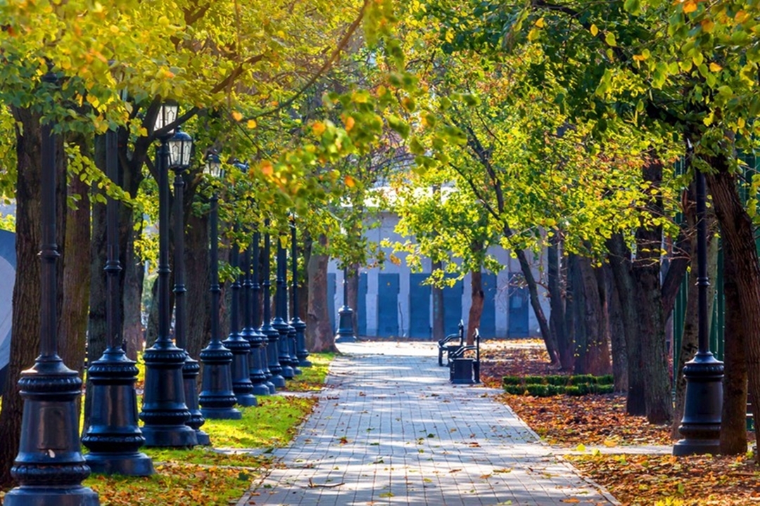 Ростовчанка считает, что в Краснодаре чище и больше парков.