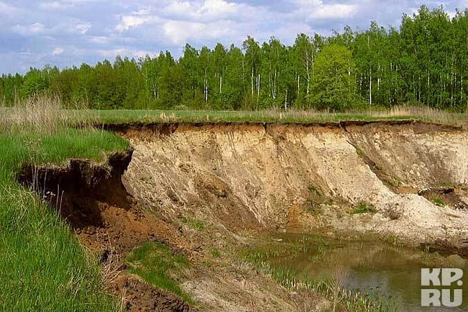 Одно из самых уникальных мест - Бездушный куст. Здесь когда-то прятался атаман Кудеяр.