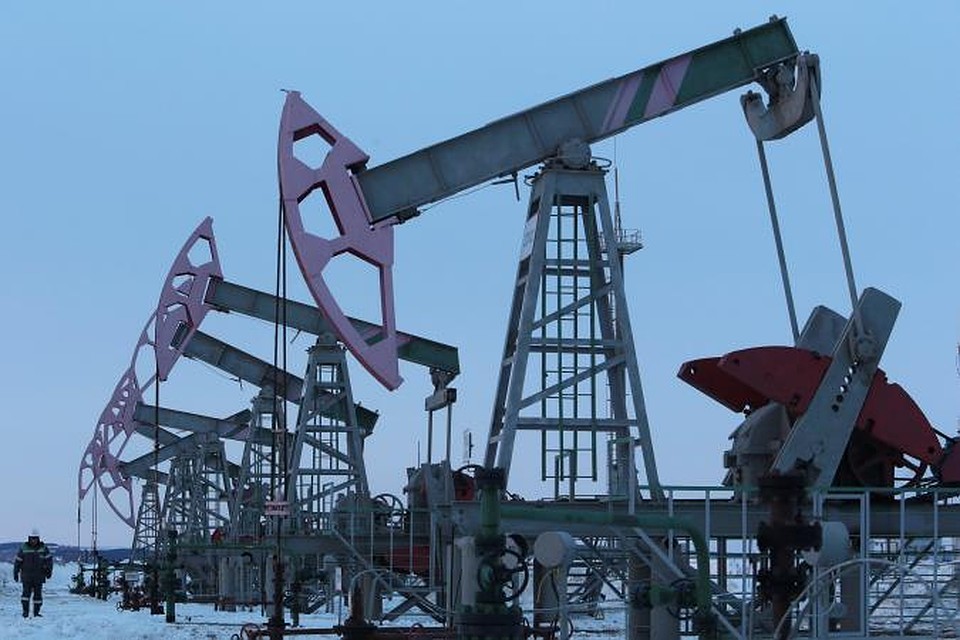 Зайчик, новый год картинки нефть