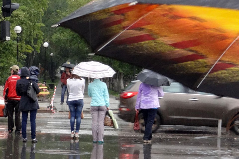 сильный дождь. ливень. дождь в коми. дождь 12 июня. где дождь.