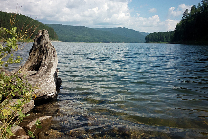 Фото: Сергей КОСЕНКО
