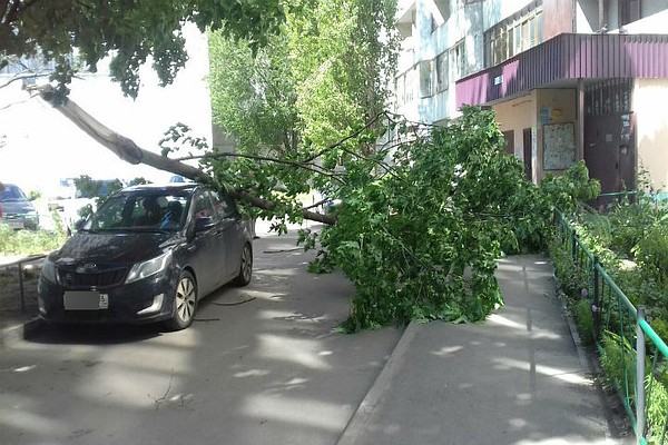 лосиха сбила митсубиси 10 сентября 2014 лосиха сбила митсубиси 10 сентября 2014